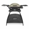 Weber® Q2000 Titanium With Stand